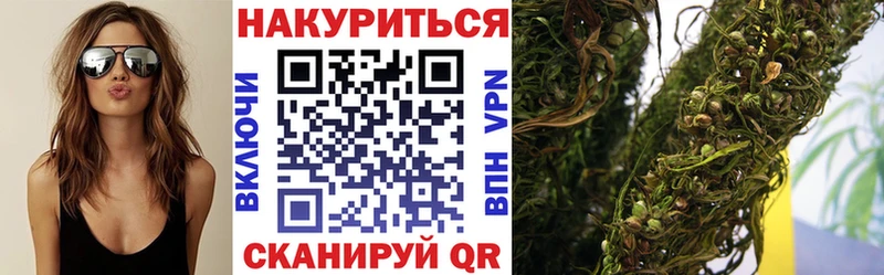 Шишки марихуана планчик  Черняховск 